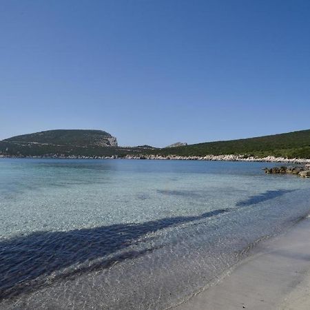 Pischina Salida-Villetta Pavoncelle Alghero Exterior photo